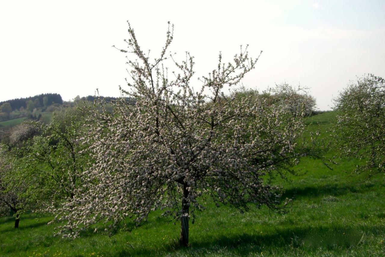 Ferienwohnung Kuhn Rhumspringe Екстер'єр фото