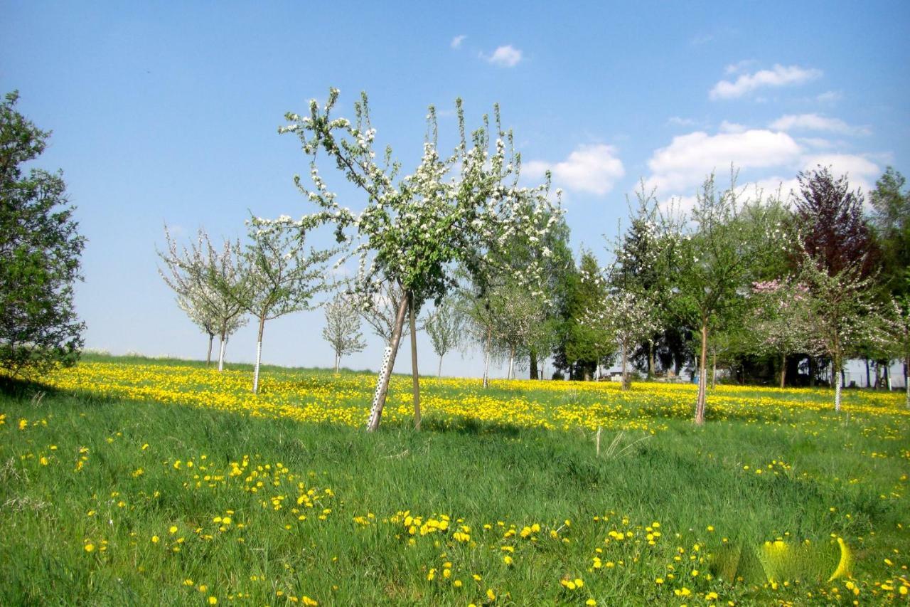 Ferienwohnung Kuhn Rhumspringe Екстер'єр фото